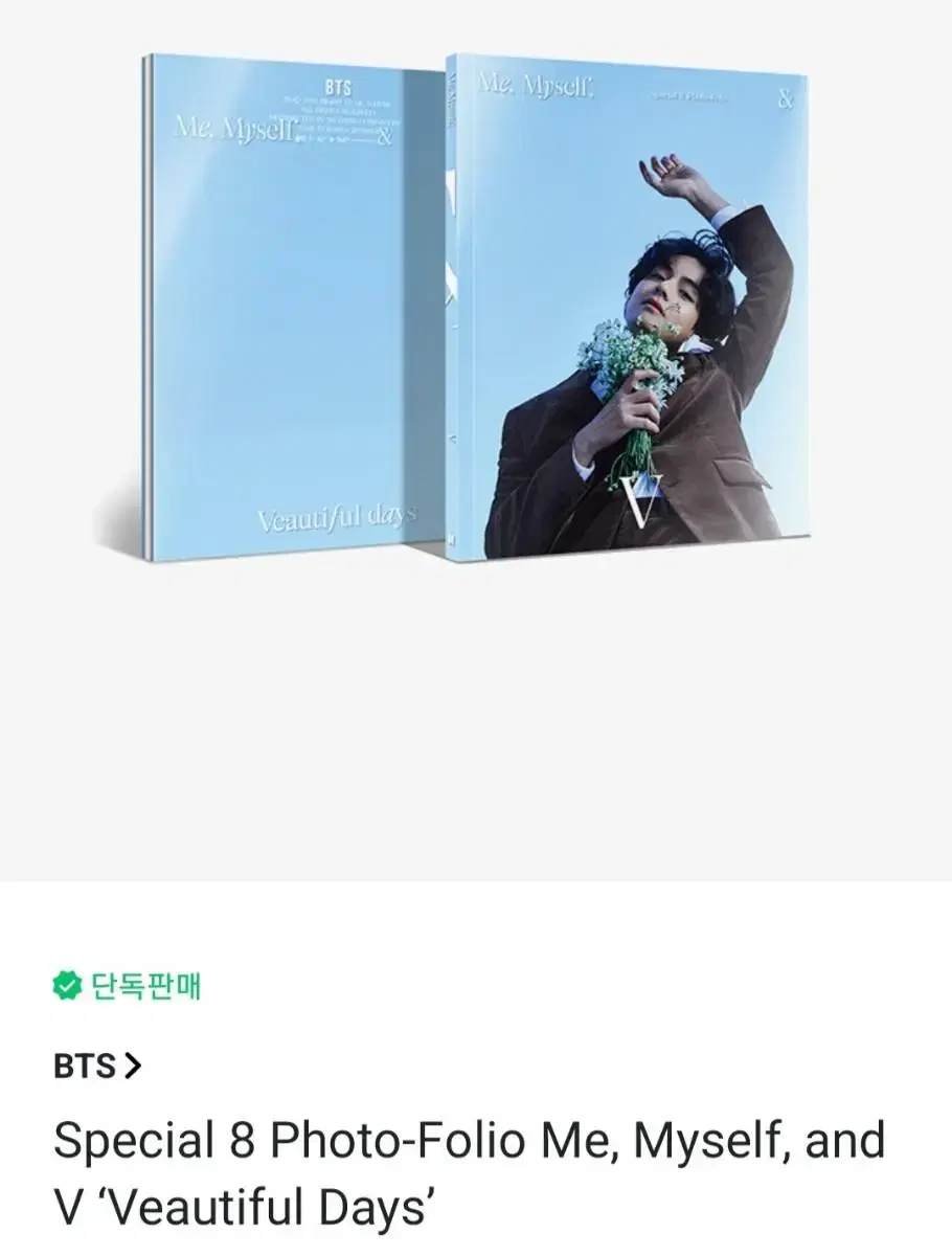 BTS 방탄소년단 태형 V 뷔 스페셜 8 포토폴리오 포토북